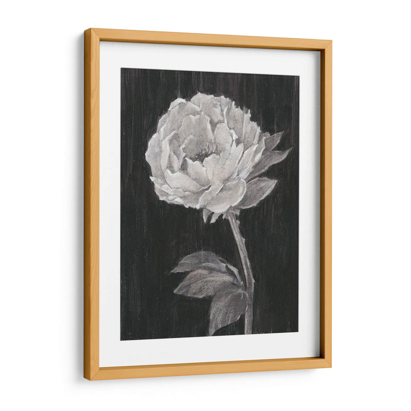 Flores En Blanco Y Negro Ii - Ethan Harper | Cuadro decorativo de Canvas Lab