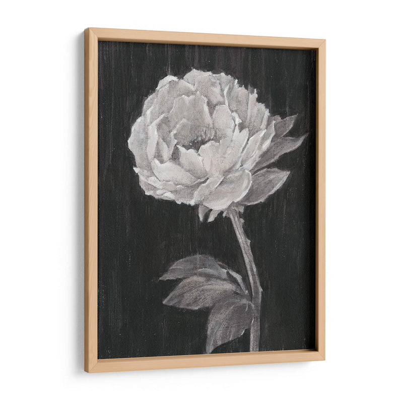 Flores En Blanco Y Negro Ii - Ethan Harper | Cuadro decorativo de Canvas Lab