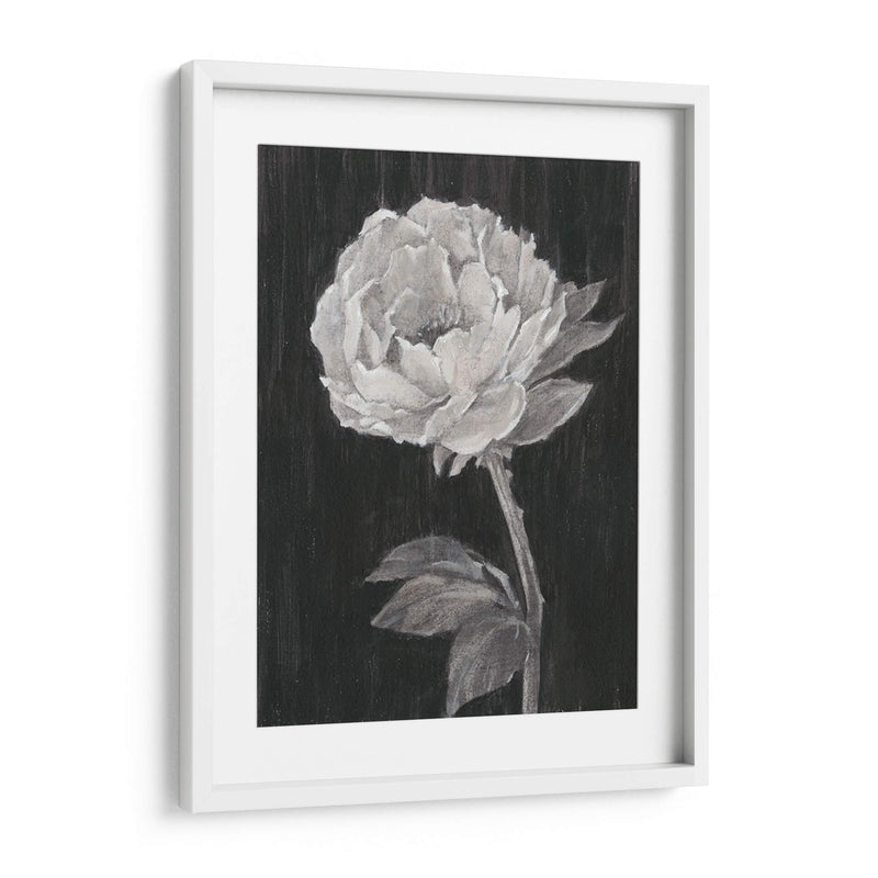 Flores En Blanco Y Negro Ii - Ethan Harper | Cuadro decorativo de Canvas Lab