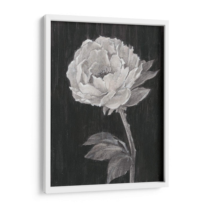 Flores En Blanco Y Negro Ii - Ethan Harper | Cuadro decorativo de Canvas Lab