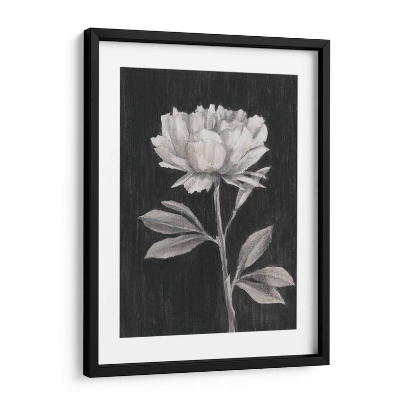 Flores En Blanco Y Negro Iii - Ethan Harper | Cuadro decorativo de Canvas Lab