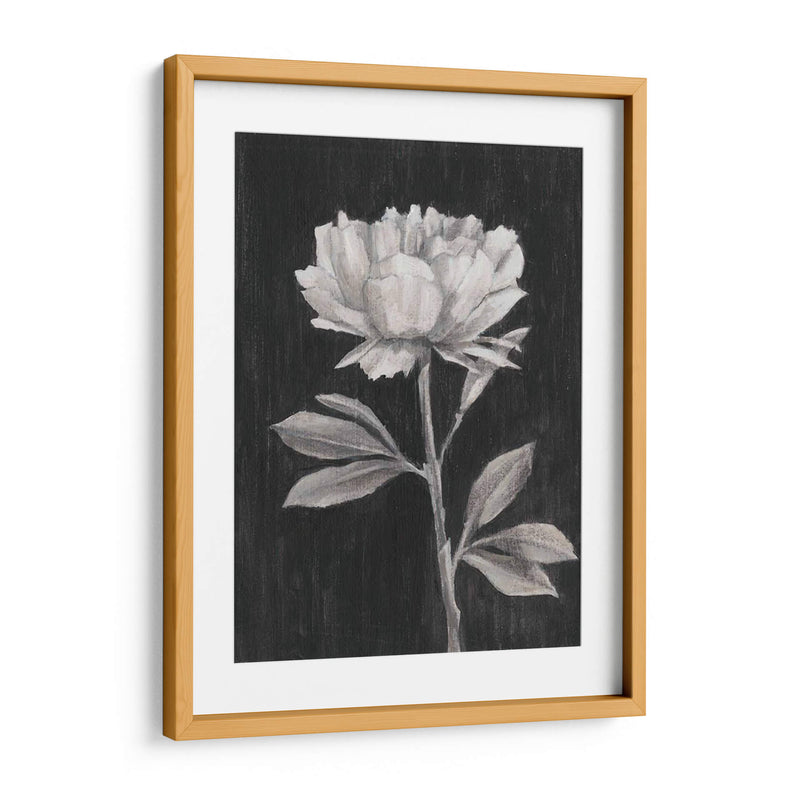 Flores En Blanco Y Negro Iii - Ethan Harper | Cuadro decorativo de Canvas Lab