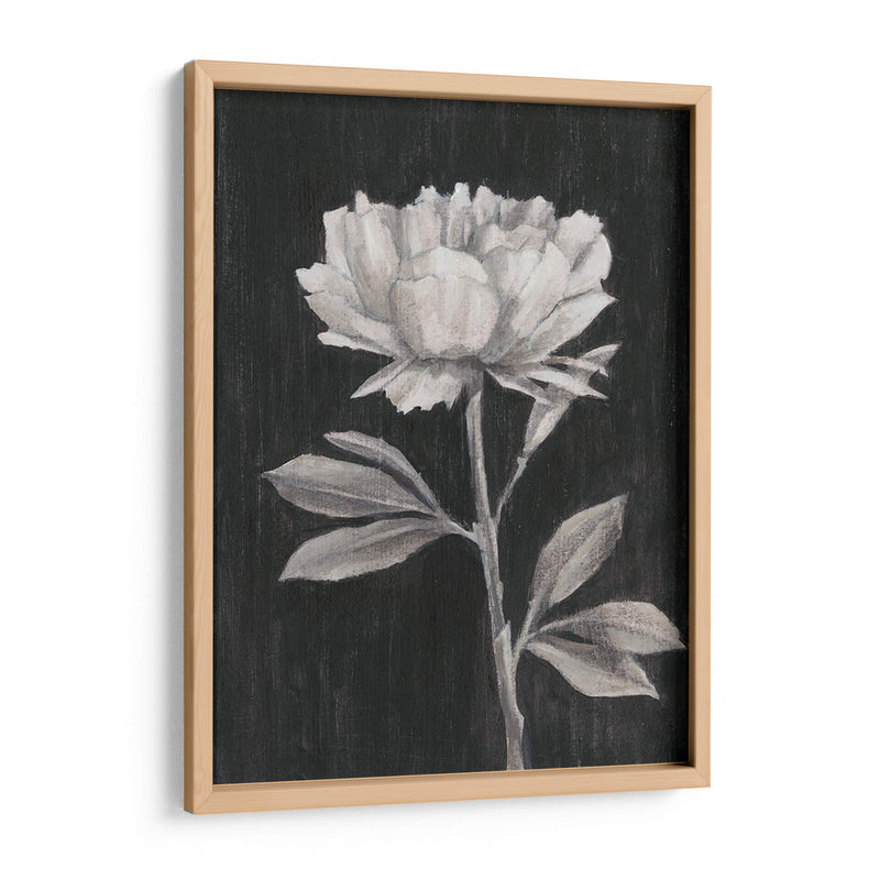 Flores En Blanco Y Negro Iii - Ethan Harper | Cuadro decorativo de Canvas Lab