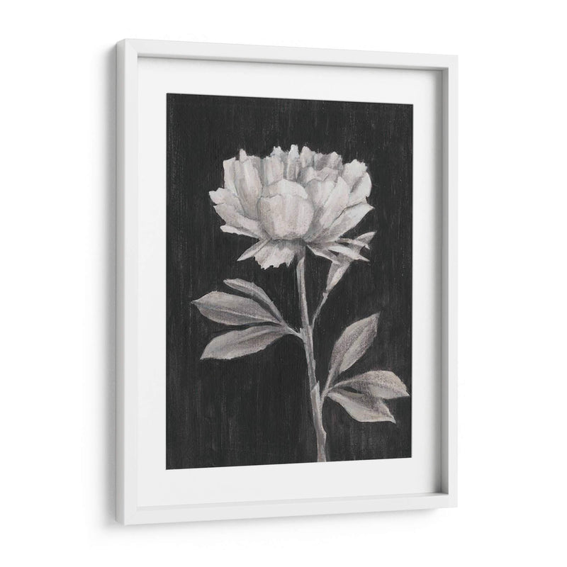 Flores En Blanco Y Negro Iii - Ethan Harper | Cuadro decorativo de Canvas Lab