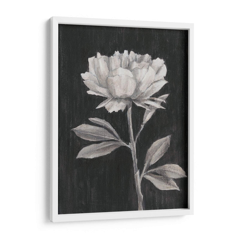 Flores En Blanco Y Negro Iii - Ethan Harper | Cuadro decorativo de Canvas Lab