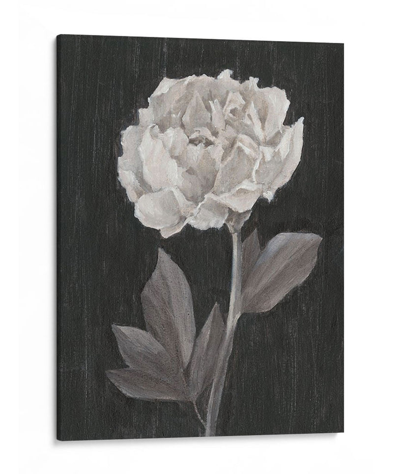 Flores En Blanco Y Negro Iv - Ethan Harper | Cuadro decorativo de Canvas Lab