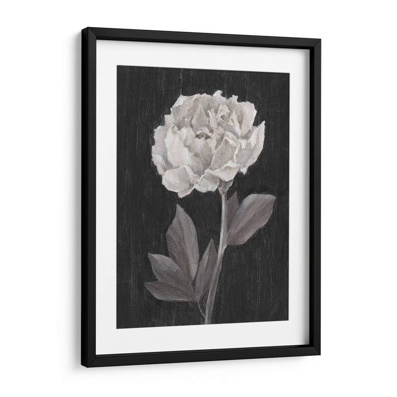 Flores En Blanco Y Negro Iv - Ethan Harper | Cuadro decorativo de Canvas Lab