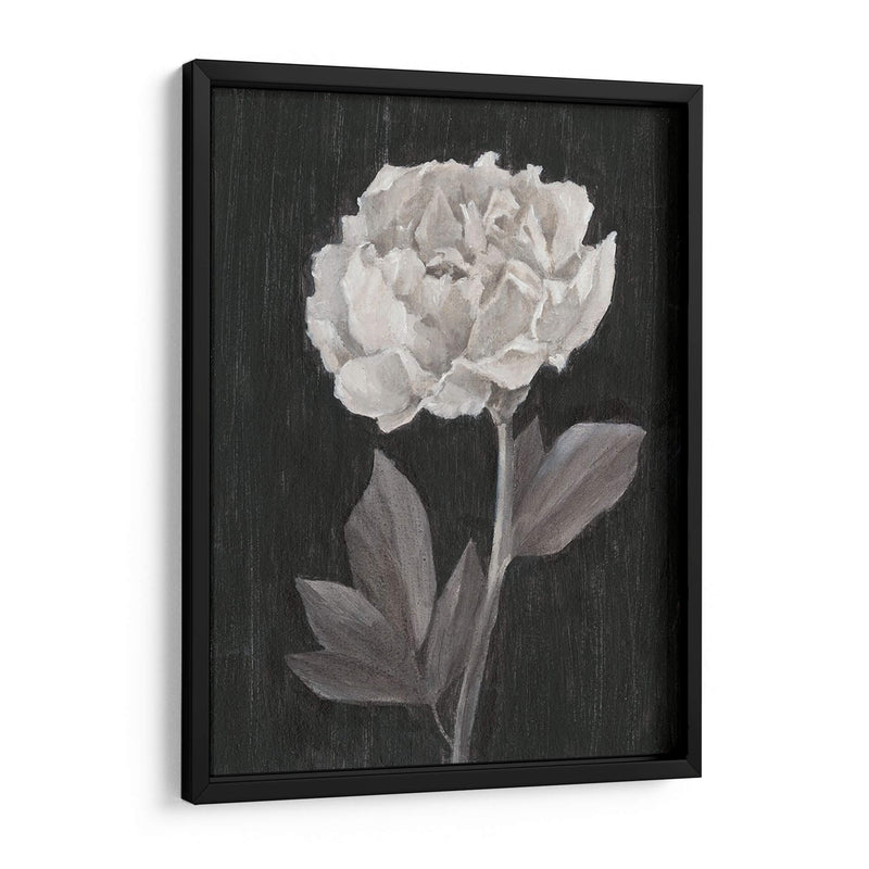 Flores En Blanco Y Negro Iv - Ethan Harper | Cuadro decorativo de Canvas Lab