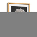 Flores En Blanco Y Negro Iv - Ethan Harper | Cuadro decorativo de Canvas Lab