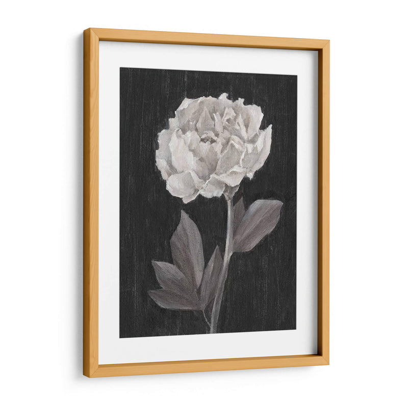 Flores En Blanco Y Negro Iv - Ethan Harper | Cuadro decorativo de Canvas Lab