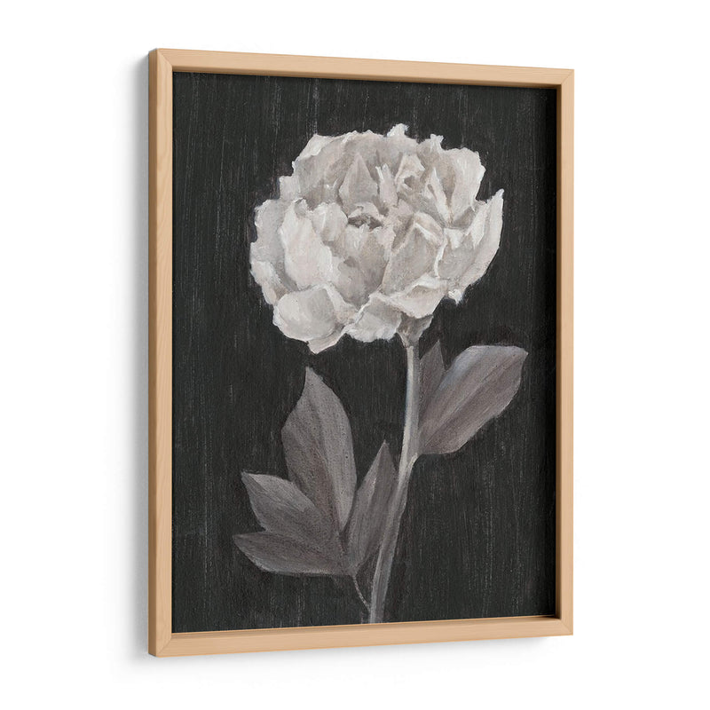 Flores En Blanco Y Negro Iv - Ethan Harper | Cuadro decorativo de Canvas Lab