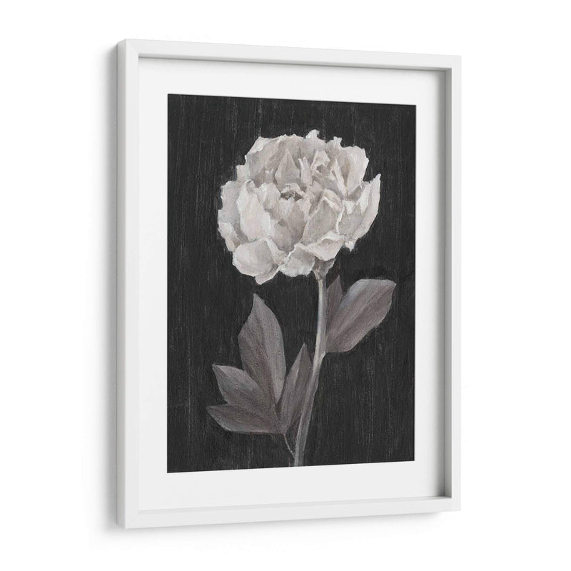 Flores En Blanco Y Negro Iv - Ethan Harper | Cuadro decorativo de Canvas Lab