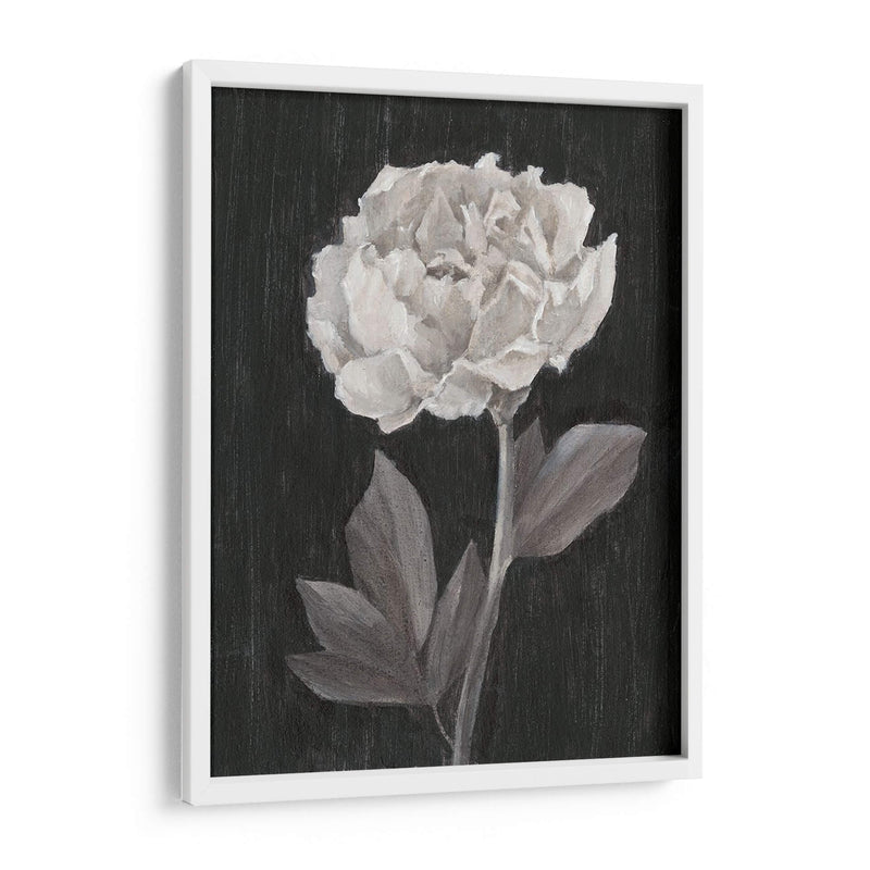 Flores En Blanco Y Negro Iv - Ethan Harper | Cuadro decorativo de Canvas Lab