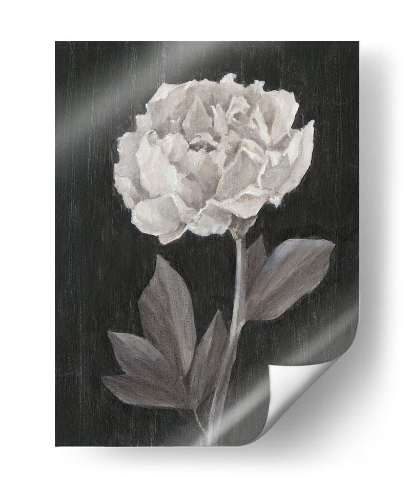 Flores En Blanco Y Negro Iv - Ethan Harper | Cuadro decorativo de Canvas Lab