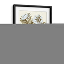Spa Peonies Iv - Basilius Besler | Cuadro decorativo de Canvas Lab