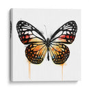 Mariposa Naranja - Hue Art | Cuadro decorativo de Canvas Lab