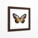 Mariposa Naranja - Hue Art | Cuadro decorativo de Canvas Lab