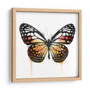 Mariposa Naranja - Hue Art | Cuadro decorativo de Canvas Lab