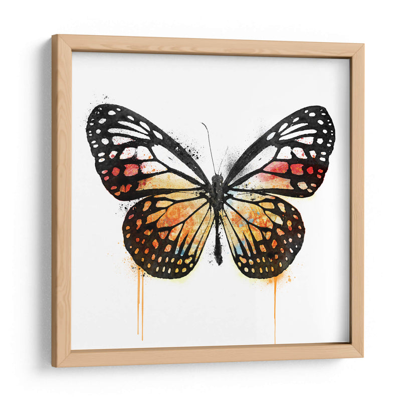 Mariposa Naranja - Hue Art | Cuadro decorativo de Canvas Lab