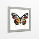 Mariposa Naranja - Hue Art | Cuadro decorativo de Canvas Lab