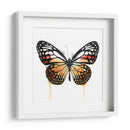 Mariposa Naranja - Hue Art | Cuadro decorativo de Canvas Lab