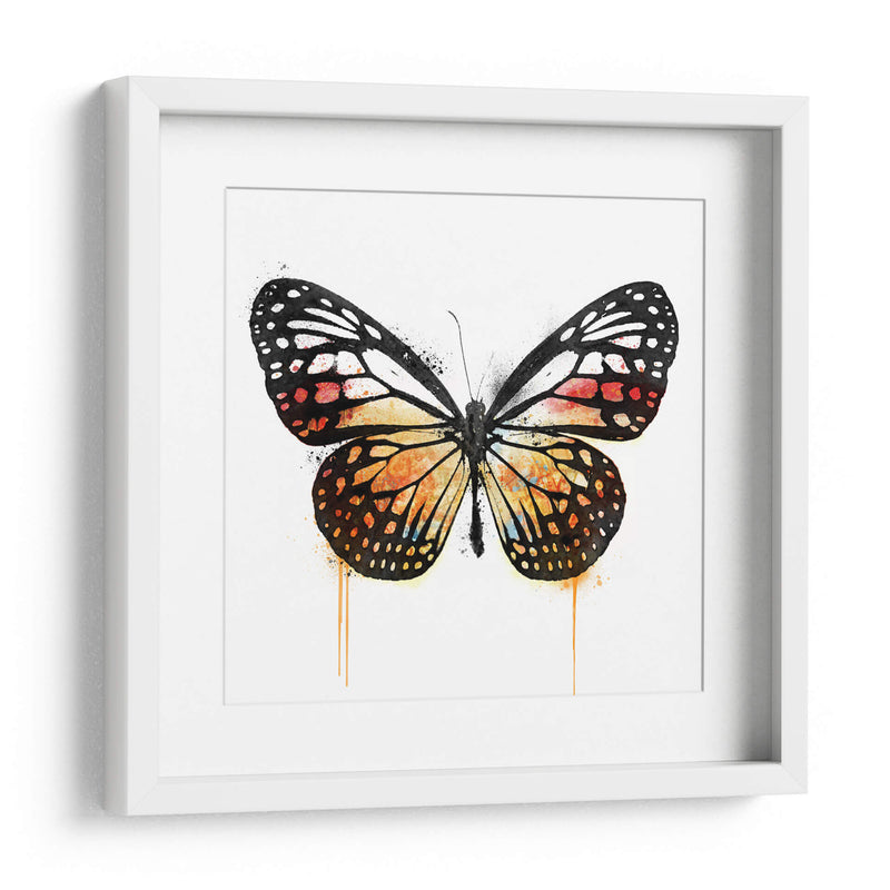 Mariposa Naranja - Hue Art | Cuadro decorativo de Canvas Lab