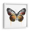 Mariposa Naranja - Hue Art | Cuadro decorativo de Canvas Lab