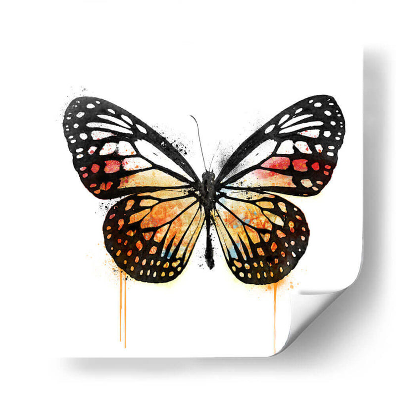 Mariposa Naranja - Hue Art | Cuadro decorativo de Canvas Lab