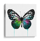 Mariposa Verde - Hue Art | Cuadro decorativo de Canvas Lab