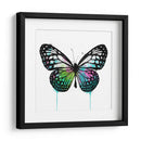 Mariposa Verde - Hue Art | Cuadro decorativo de Canvas Lab