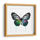 Mariposa Verde - Hue Art | Cuadro decorativo de Canvas Lab