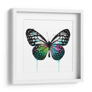 Mariposa Verde - Hue Art | Cuadro decorativo de Canvas Lab