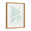 Helechos Serenos I - Vision Studio | Cuadro decorativo de Canvas Lab