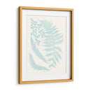 Fernos Serenos Ii - Vision Studio | Cuadro decorativo de Canvas Lab
