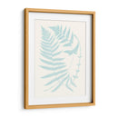 Fernos Serenos Iii - Vision Studio | Cuadro decorativo de Canvas Lab
