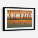 Resplandor En La Tarde I - Tim OToole | Cuadro decorativo de Canvas Lab