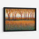 Resplandor En La Tarde I - Tim OToole | Cuadro decorativo de Canvas Lab