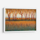 Resplandor En La Tarde I - Tim OToole | Cuadro decorativo de Canvas Lab