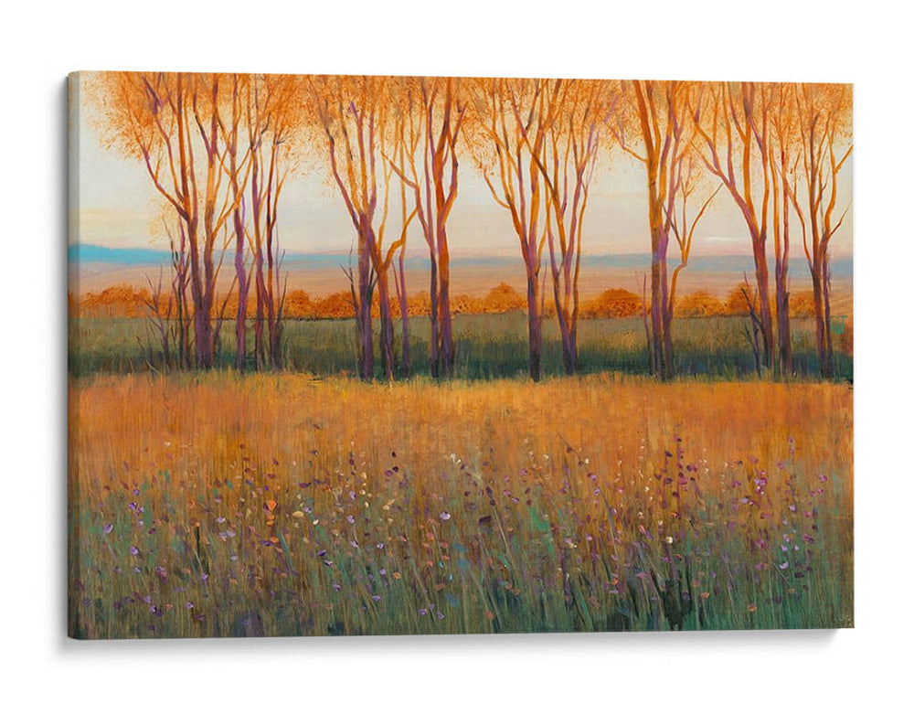 Resplandor En La Tarde Ii - Tim OToole | Cuadro decorativo de Canvas Lab