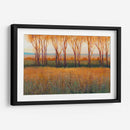 Resplandor En La Tarde Ii - Tim OToole | Cuadro decorativo de Canvas Lab