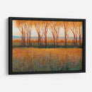 Resplandor En La Tarde Ii - Tim OToole | Cuadro decorativo de Canvas Lab