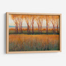 Resplandor En La Tarde Ii - Tim OToole | Cuadro decorativo de Canvas Lab