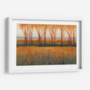 Resplandor En La Tarde Ii - Tim OToole | Cuadro decorativo de Canvas Lab