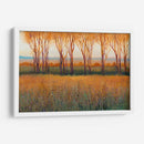 Resplandor En La Tarde Ii - Tim OToole | Cuadro decorativo de Canvas Lab