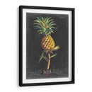 Dramático Royal Botanical Ii - George Ehret | Cuadro decorativo de Canvas Lab