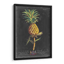 Dramático Royal Botanical Ii - George Ehret | Cuadro decorativo de Canvas Lab