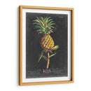 Dramático Royal Botanical Ii - George Ehret | Cuadro decorativo de Canvas Lab