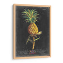 Dramático Royal Botanical Ii - George Ehret | Cuadro decorativo de Canvas Lab