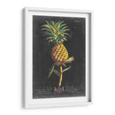 Dramático Royal Botanical Ii - George Ehret | Cuadro decorativo de Canvas Lab