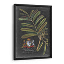 Dramático Royal Botanical Iii - George Ehret | Cuadro decorativo de Canvas Lab